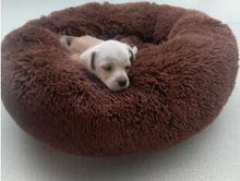 Load image into Gallery viewer, Pet Dog Bed Comfortable Donut Cuddler Round Dog Bed Ultra Soft Washable Dog and Cat Cushion Bed hot sell 2810