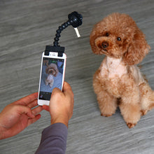 Load image into Gallery viewer, Pet Selfie Stick for Dogs Cat photography tools Pet Interaction Toys Concentrate Training Supplies Dog Accessories Dropshipper 4