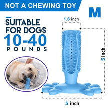 Load image into Gallery viewer, Pet Dog Toothbrush Chew Toy Doggy Brush Stick Soft Rubber Teeth Cleaning Dot Massage Toothpaste for Small dogs Pets Toothbrushes