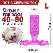 Load image into Gallery viewer, Pet Dog Toothbrush Chew Toy Doggy Brush Stick Soft Rubber Teeth Cleaning Dot Massage Toothpaste for Small dogs Pets Toothbrushes